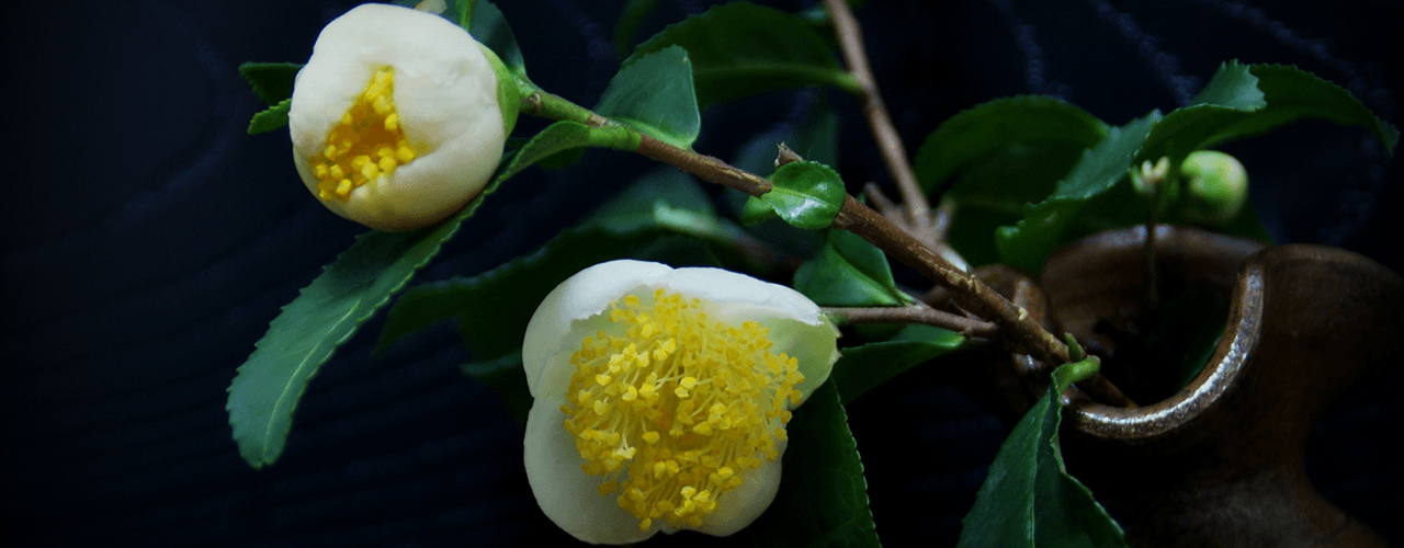 Flower Arranging (Kado)