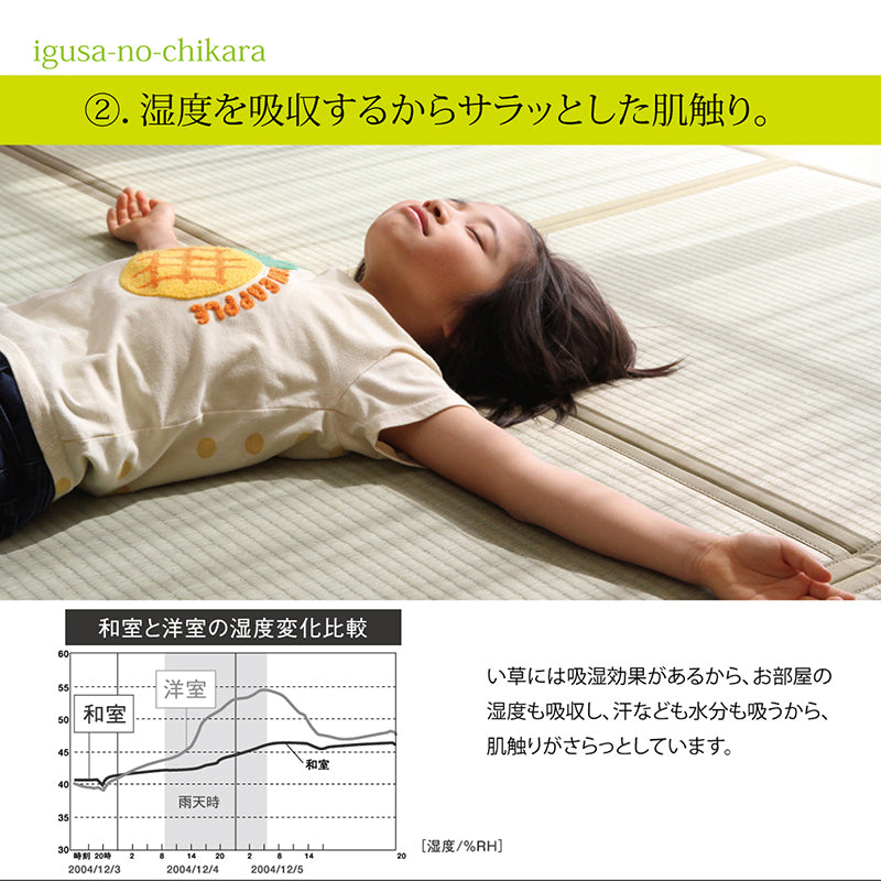 Folding Tatami for Wooden Floors (82 x 246 x 1.9 cm)